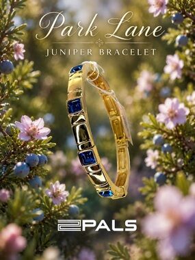 Park Lane Women’s Juniper Elegant Bangle Bracelet Gold Blue Crystal Stretch  NWT
